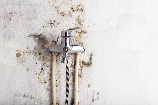 Best Health and Safety Mold Remediation in Oak Trail Shores, TX