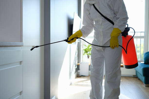 Best Commercial Mold Remediation in Oak Trail Shores, TX