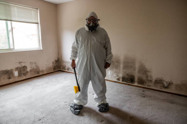 Best Post-Flood Mold Remediation in Oak Trail Shores, TX